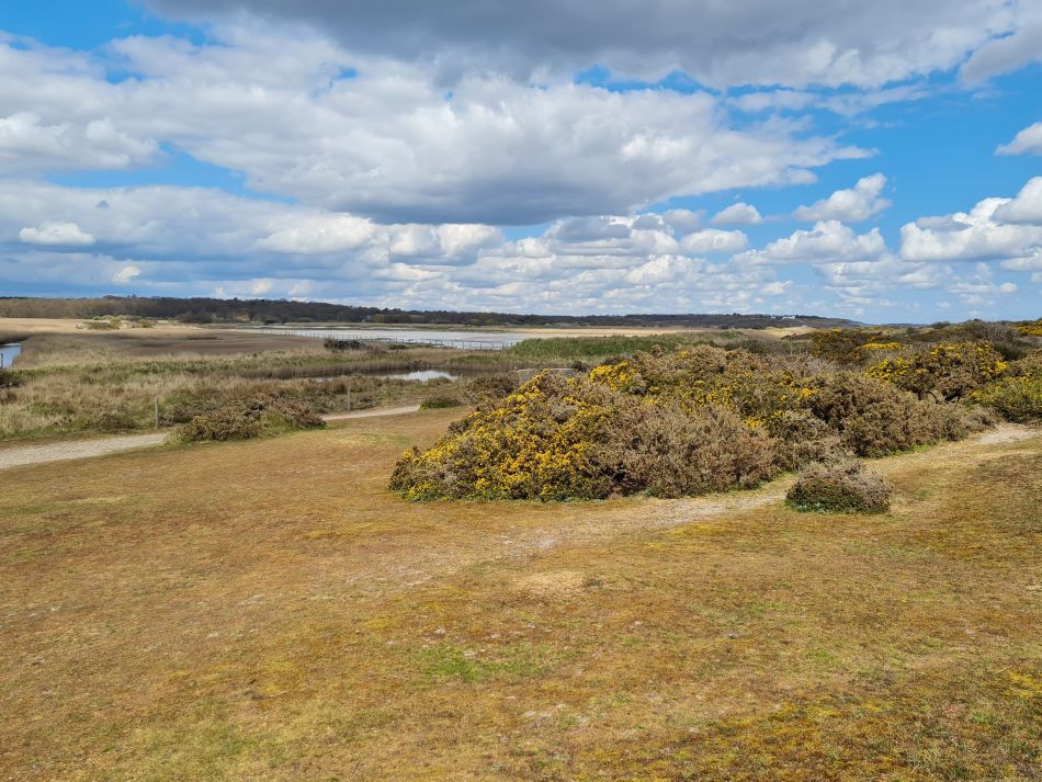 2021-04-29 09 Sizewell and Minsmere.jpg