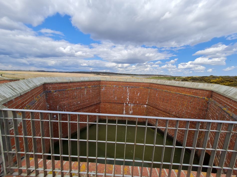 2021-04-29 10 Sizewell and Minsmere.jpg