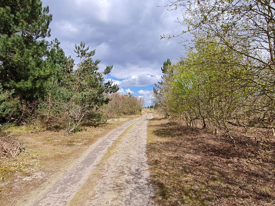 2021-04-29 12 Sizewell and Minsmere.jpg