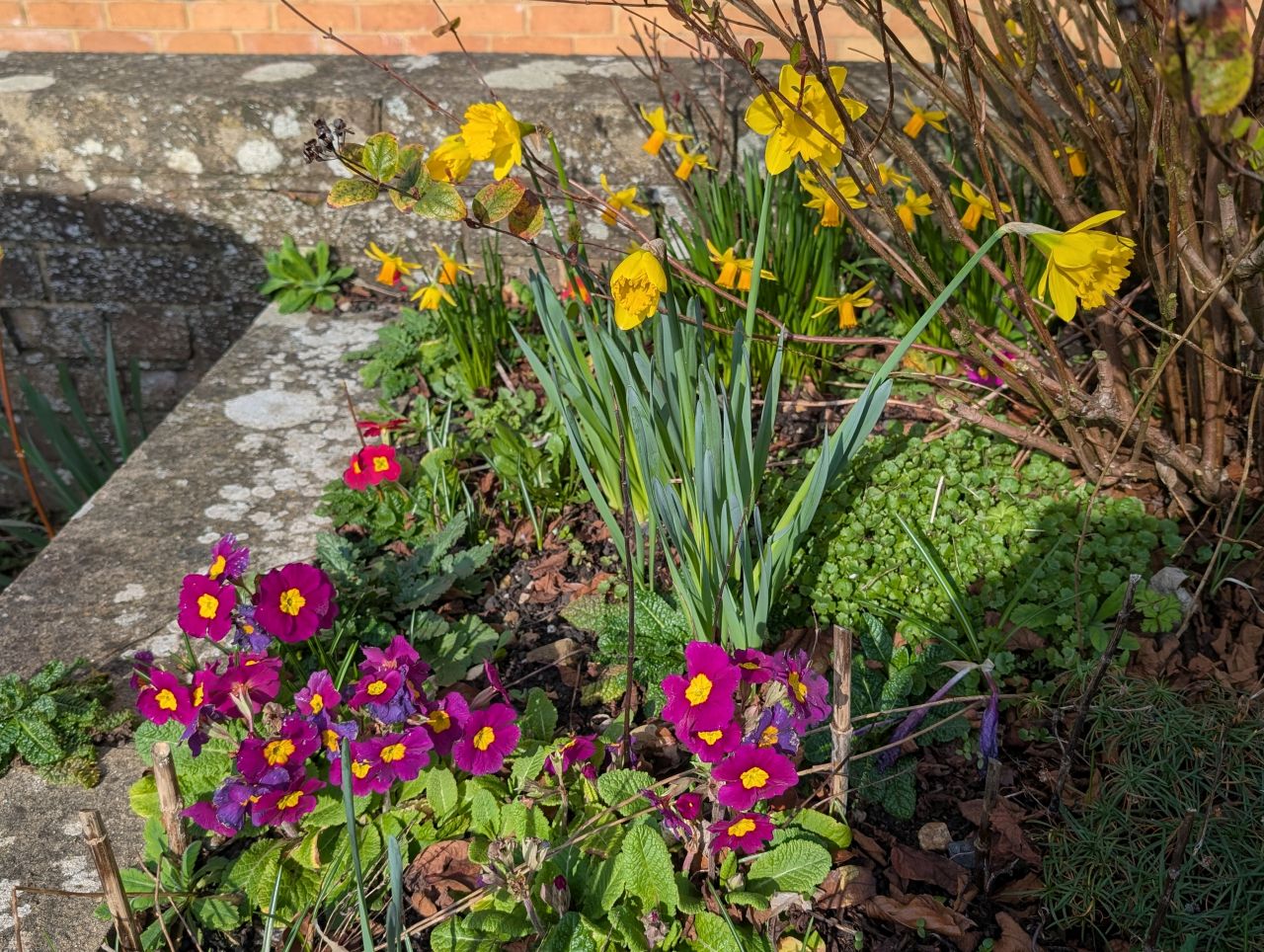 2026-03-02 04 Lavenham and Long Melford.jpg