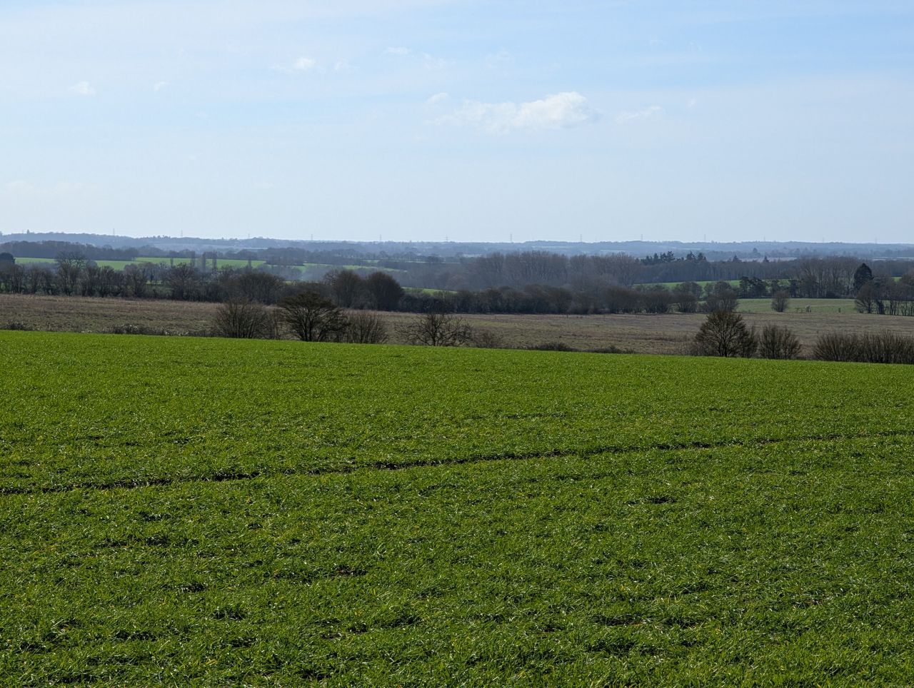 2026-03-02 28 Lavenham and Long Melford.jpg