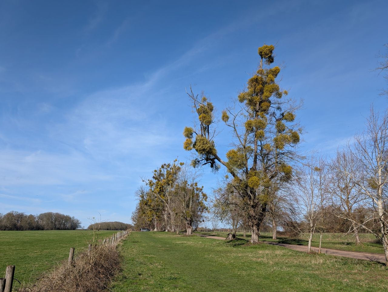2026-03-02 35 Lavenham and Long Melford.jpg