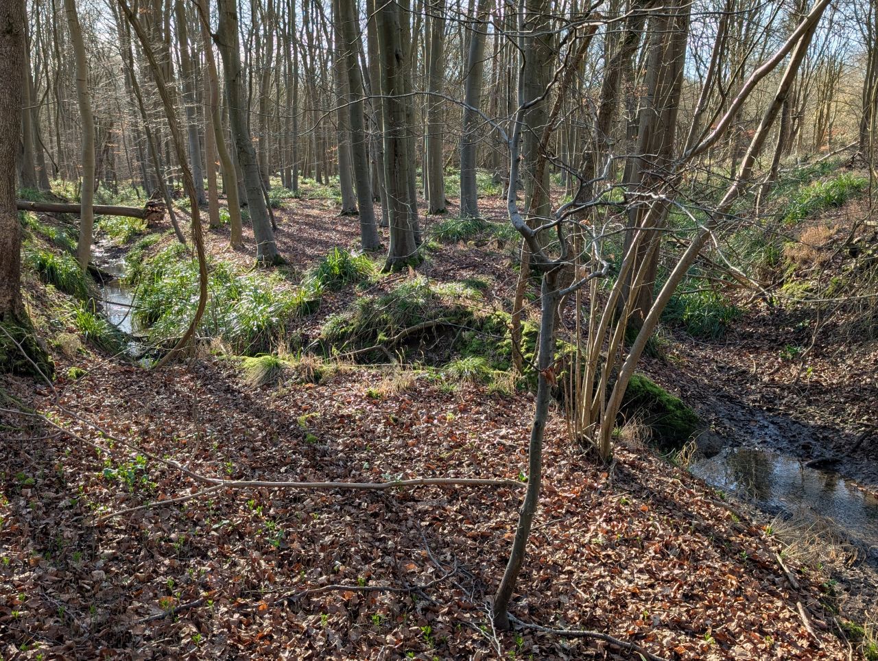 2026-03-02 41 Lavenham and Long Melford.jpg