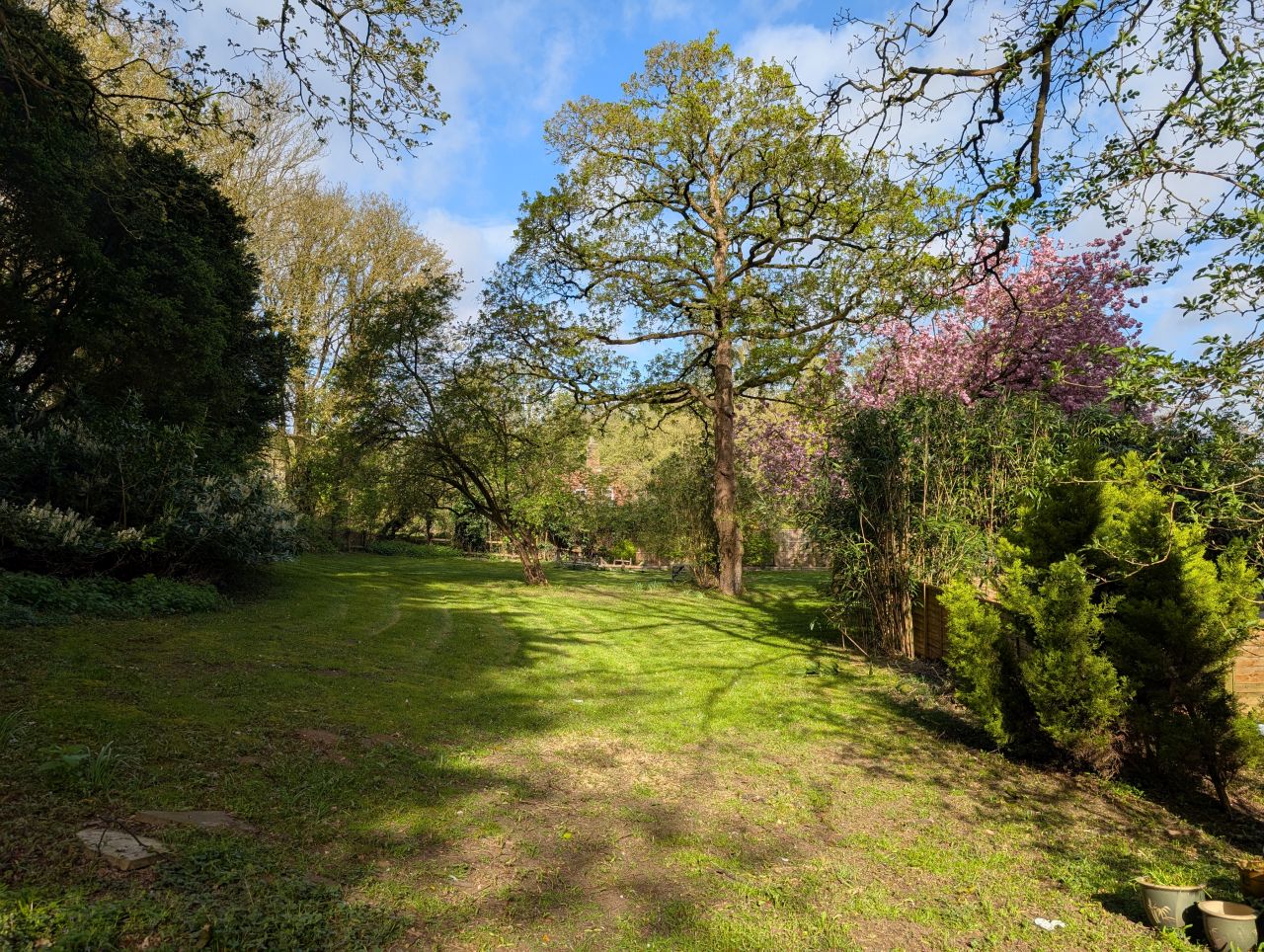 2026-04-16 01 Woods End and Surlingham.jpg