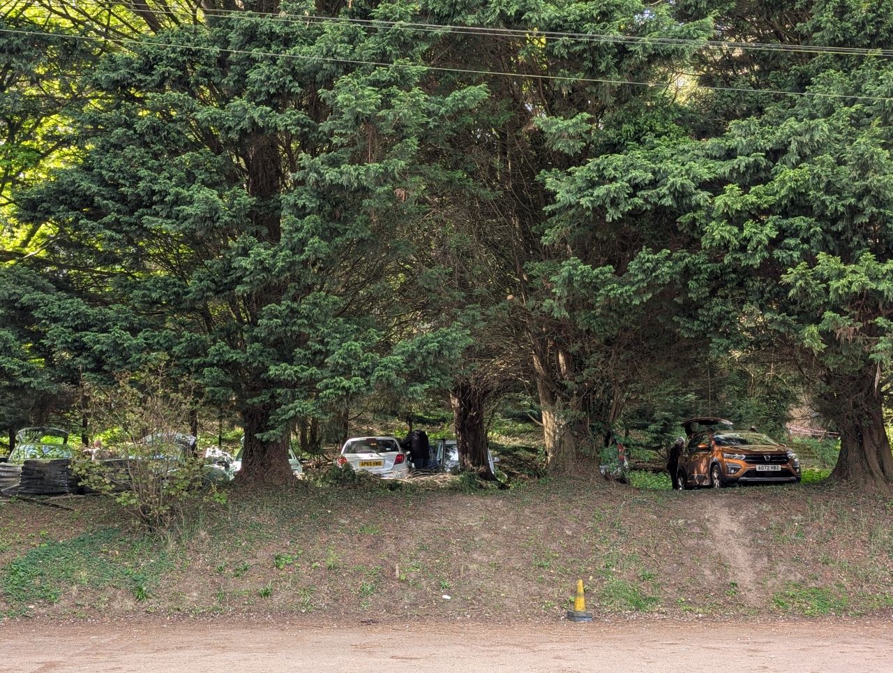 2026-04-16 06 Woods End and Surlingham.jpg