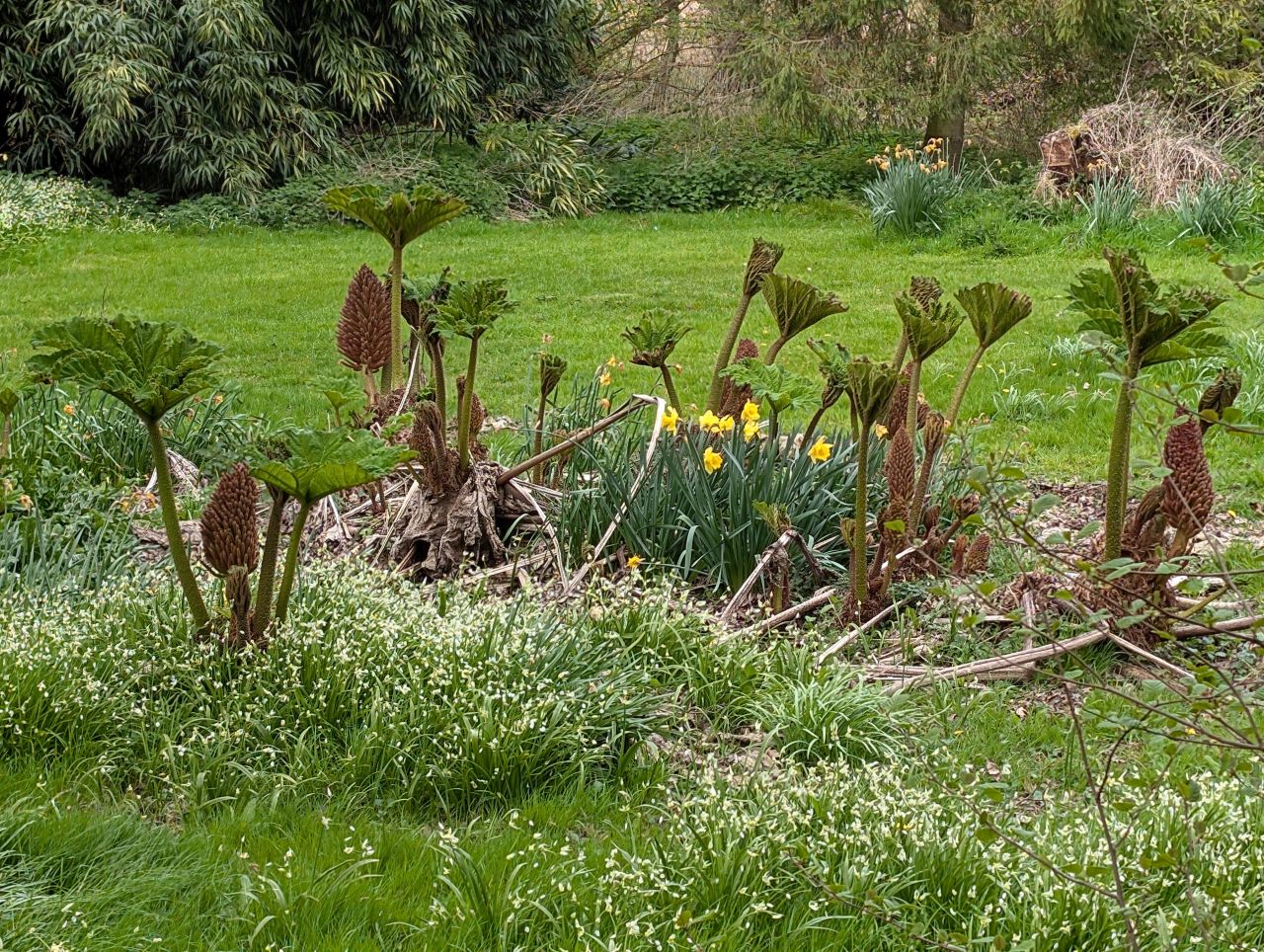 2026-04-16 22 Woods End and Surlingham.jpg