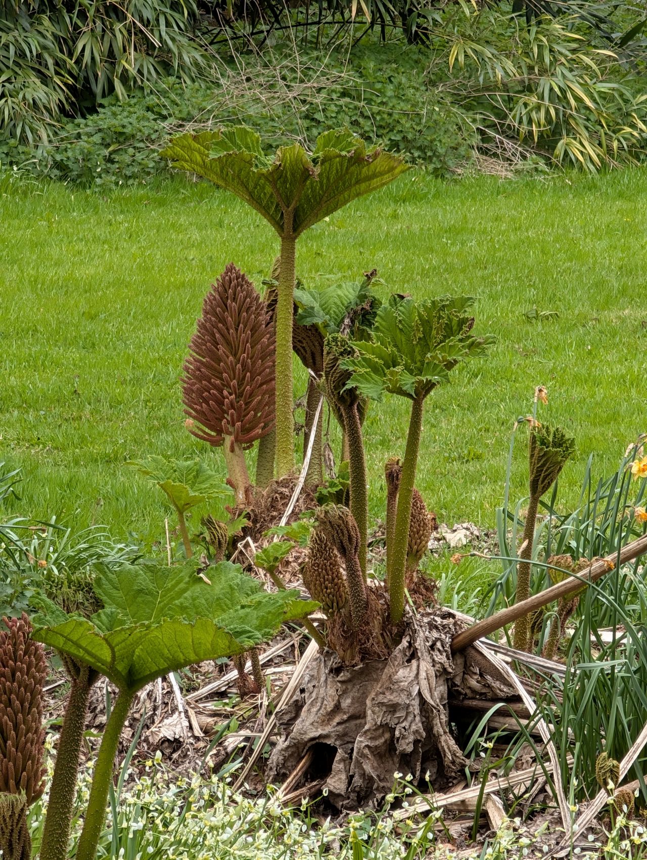 2026-04-16 23 Woods End and Surlingham.jpg