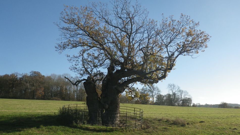 2018-11-18 04 Chediston and Huntingfield.jpg