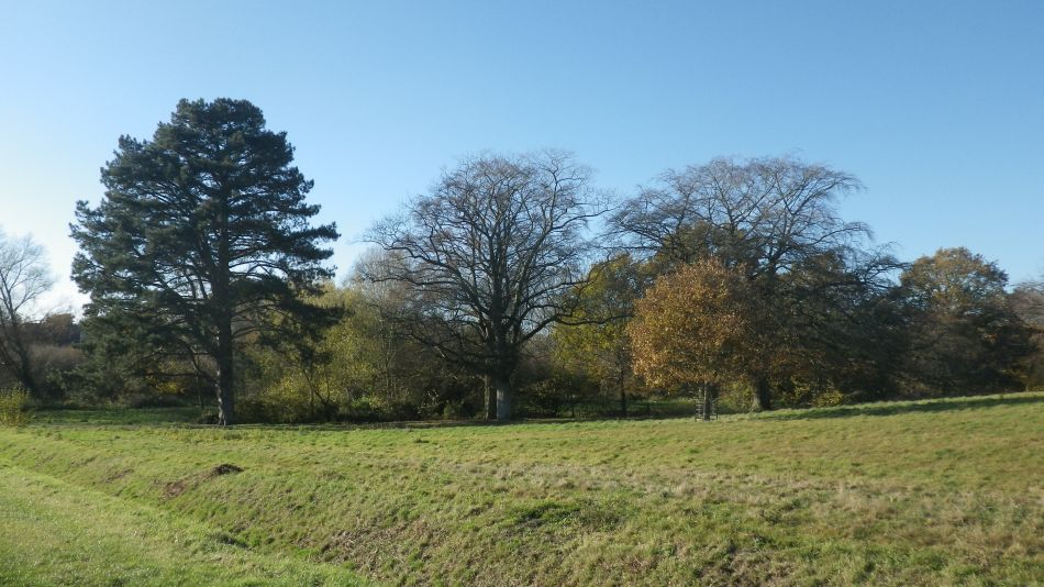 2018-11-18 07 Chediston and Huntingfield.jpg