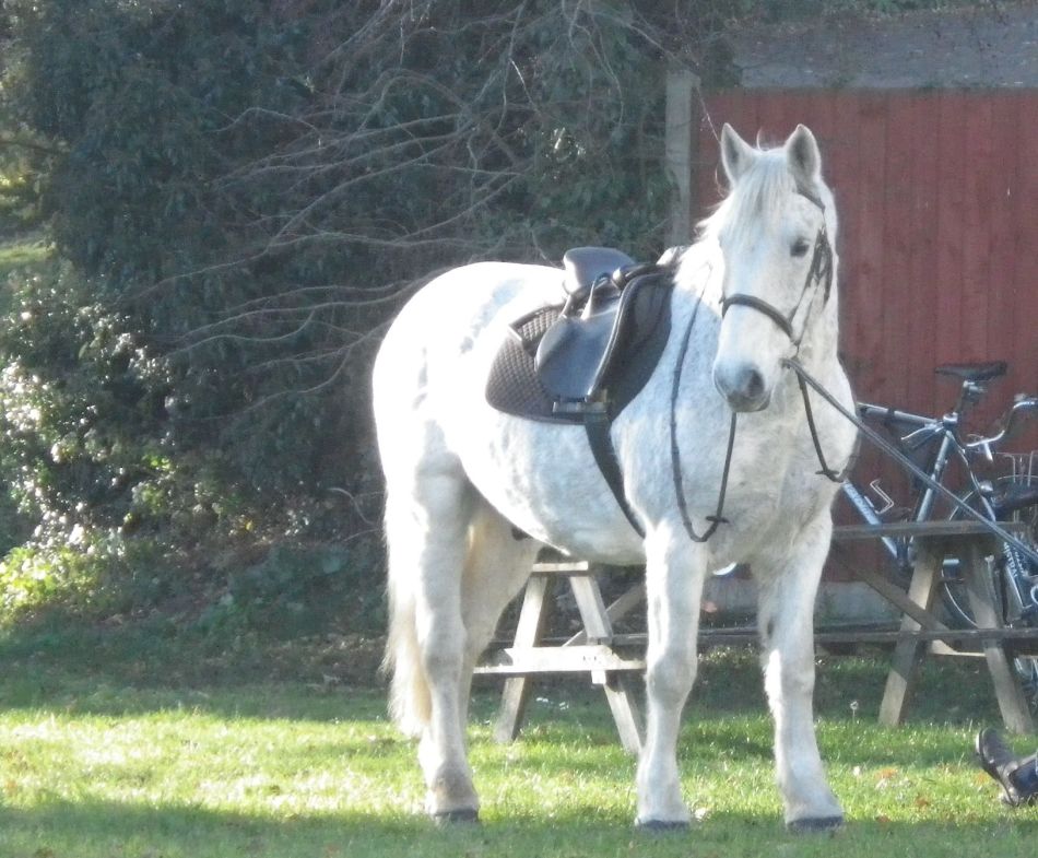 2018-11-18 12 Chediston and Huntingfield.jpg