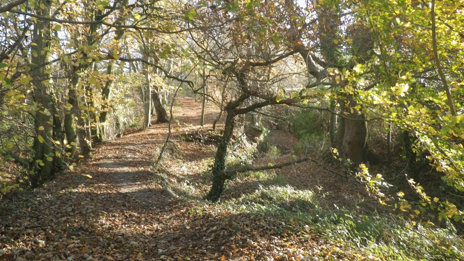 2018-11-18 13 Chediston and Huntingfield.jpg