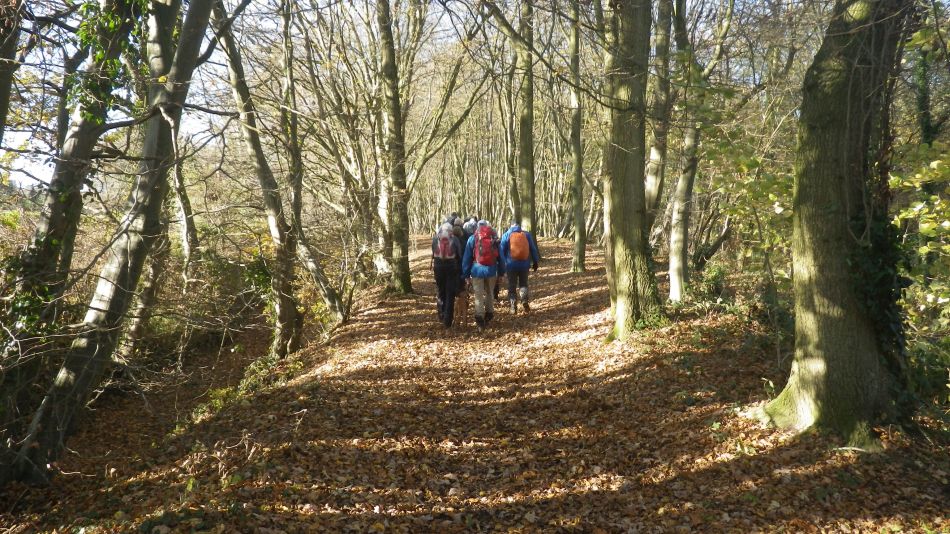 2018-11-18 14 Chediston and Huntingfield.jpg