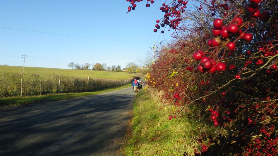 2018-11-18 16 Chediston and Huntingfield.jpg