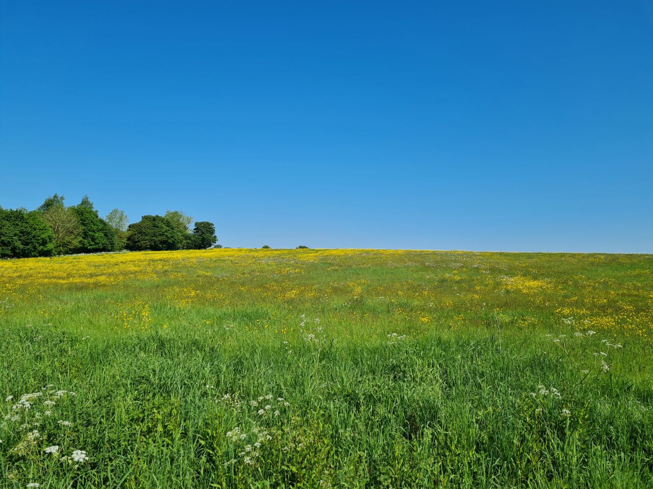 2024-05-19 02 Chediston Rumburgh Wissett.jpg