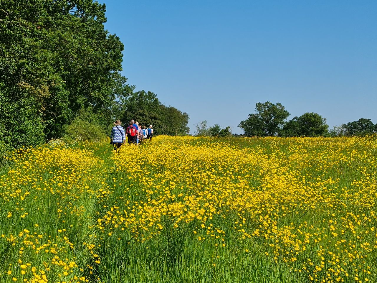 2024-05-19 06 Chediston Rumburgh Wissett.jpg