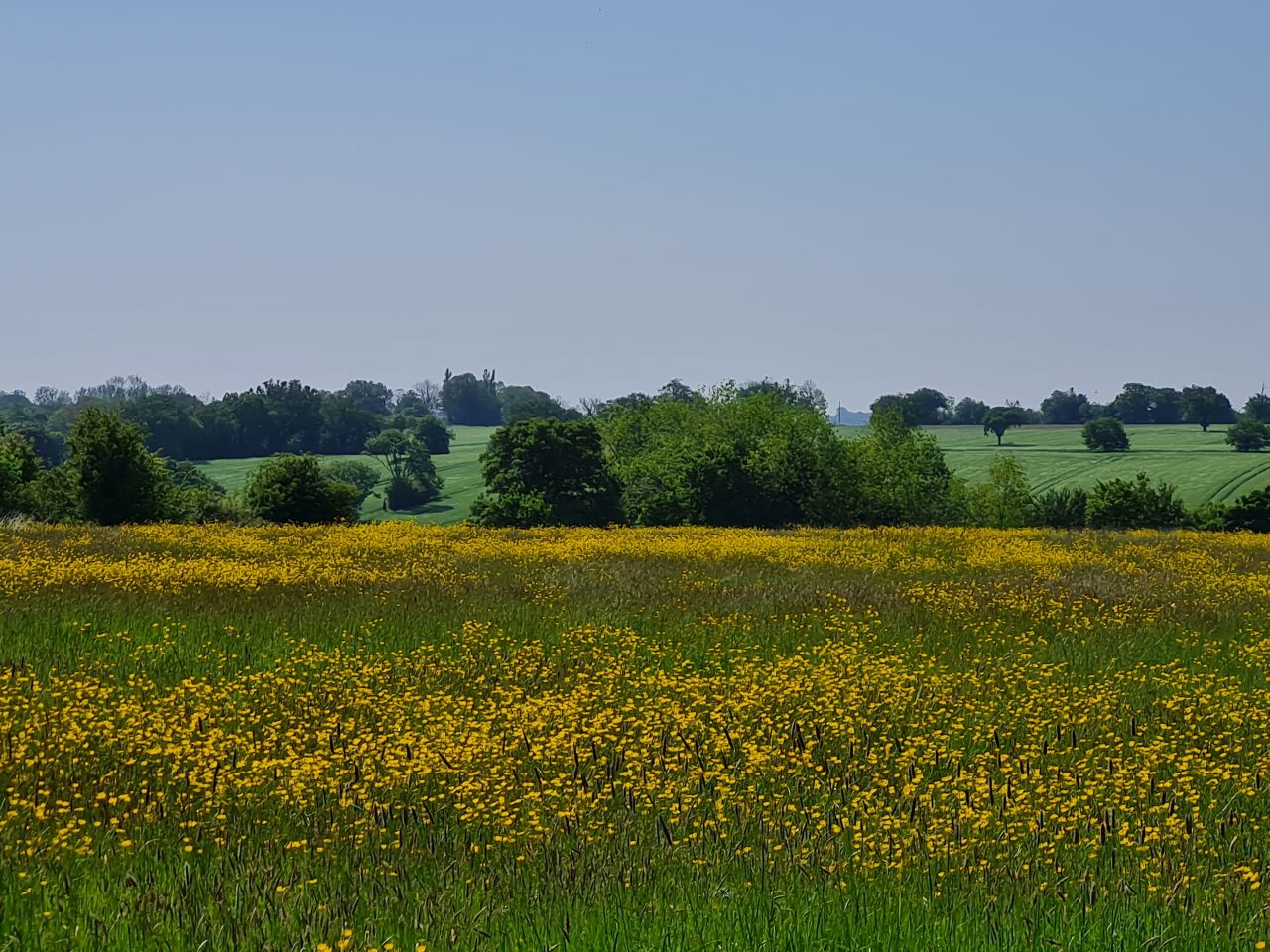 2024-05-19 08 Chediston Rumburgh Wissett.jpg