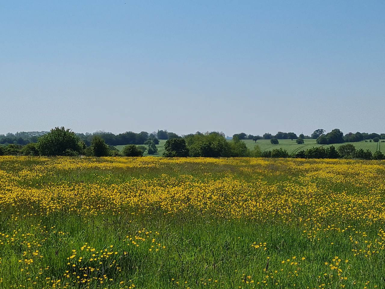 2024-05-19 09 Chediston Rumburgh Wissett.jpg