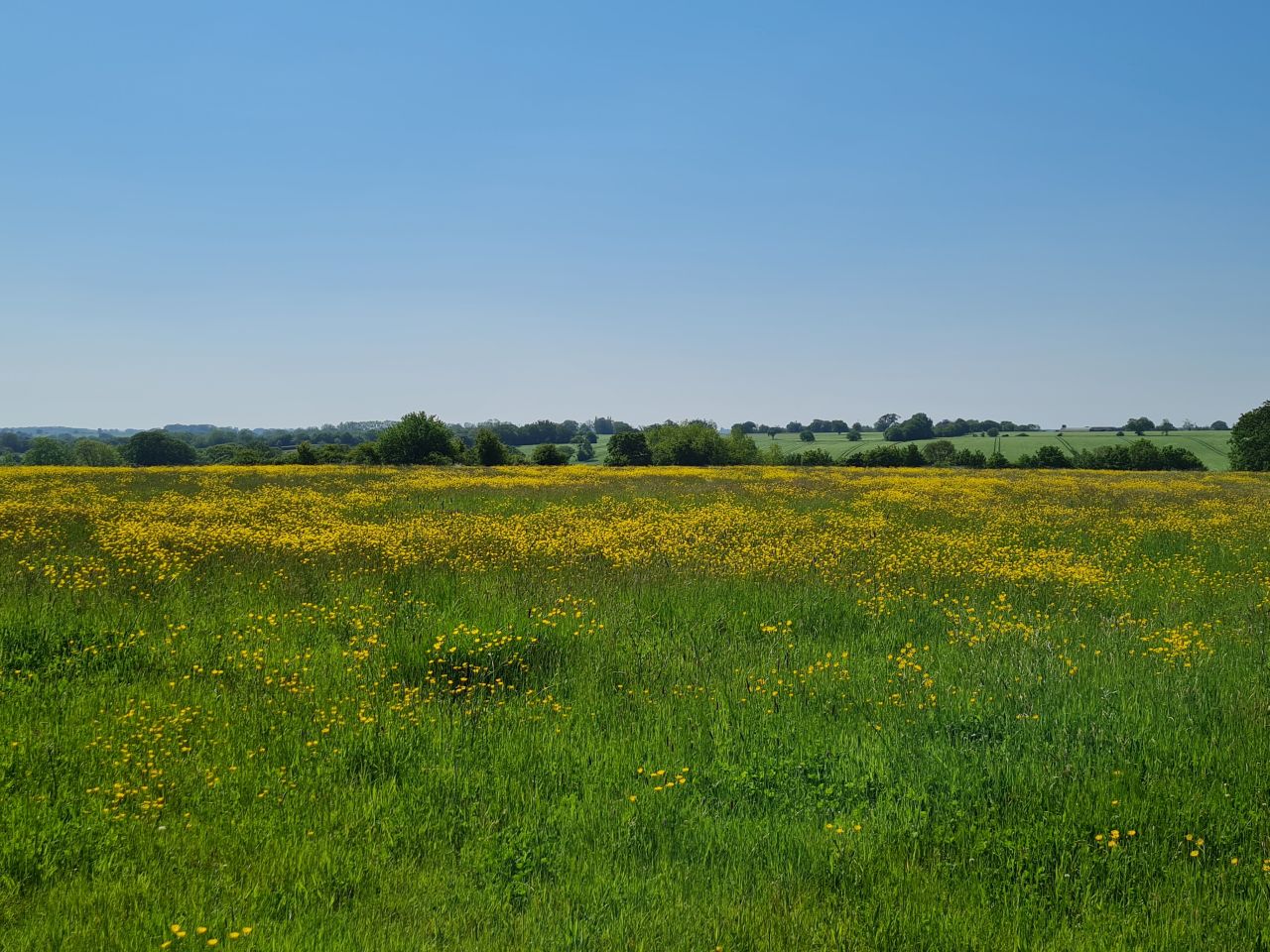 2024-05-19 10 Chediston Rumburgh Wissett.jpg