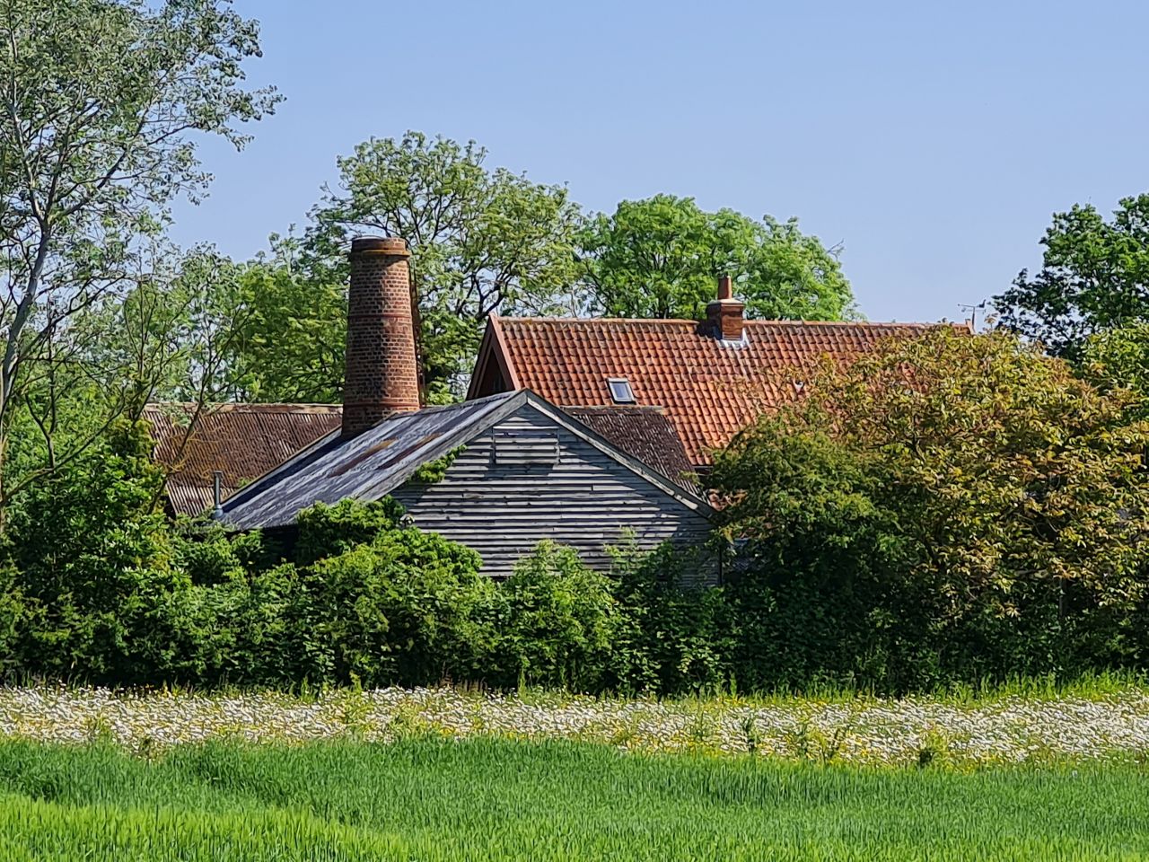 2024-05-19 11 Chediston Rumburgh Wissett.jpg