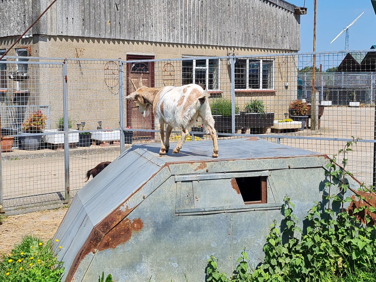 2024-05-19 12 Chediston Rumburgh Wissett.jpg