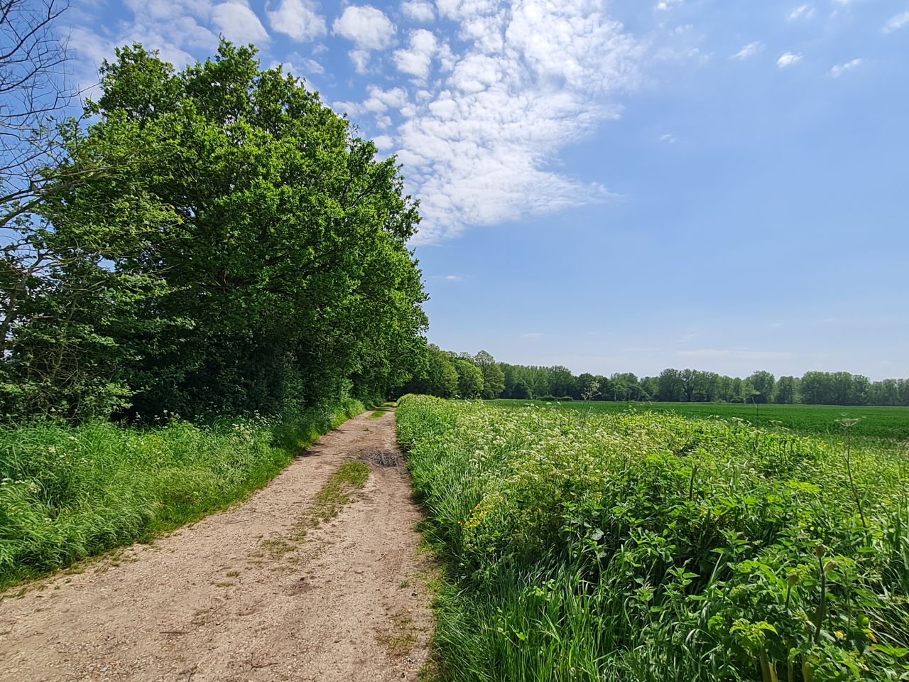 2024-05-19 25 Chediston Rumburgh Wissett.jpg
