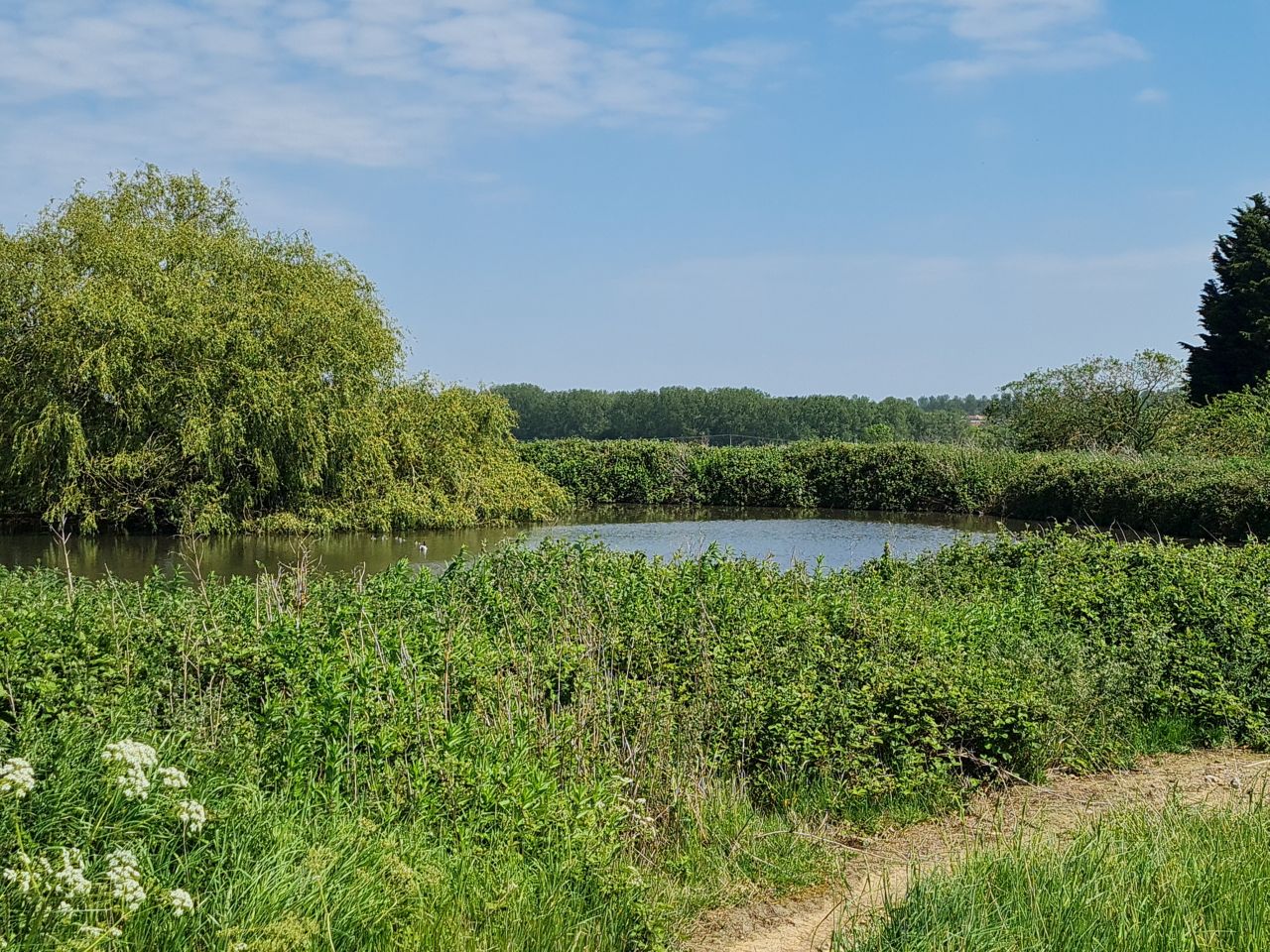 2024-05-19 27 Chediston Rumburgh Wissett.jpg