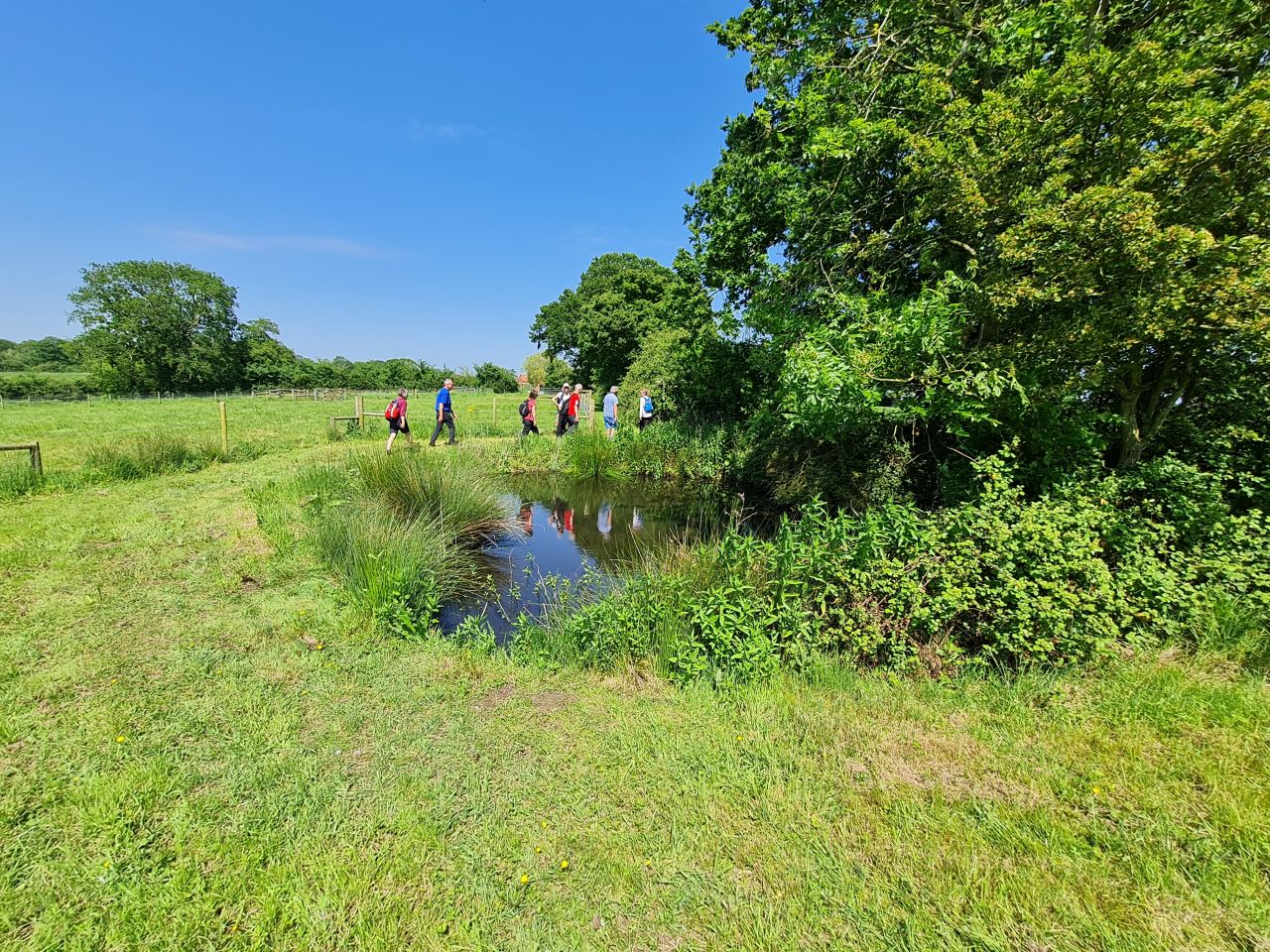 2024-05-19 29 Chediston Rumburgh Wissett.jpg