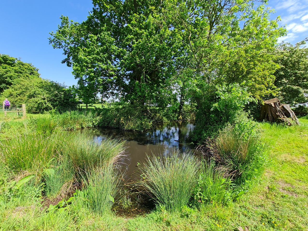 2024-05-19 31 Chediston Rumburgh Wissett.jpg