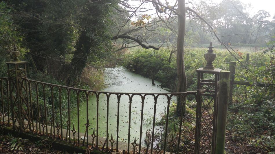 2017-10-26 05 Alde Valley Group Around Yoxford.jpg