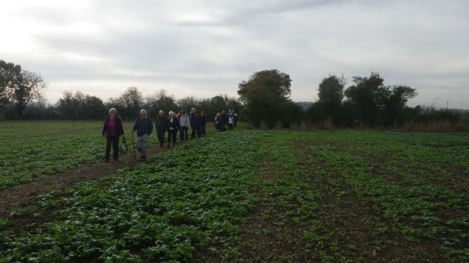 2017-10-26 13 Alde Valley Group Around Yoxford.jpg