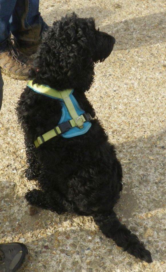 2017-10-26 14 Alde Valley Group Around Yoxford.jpg