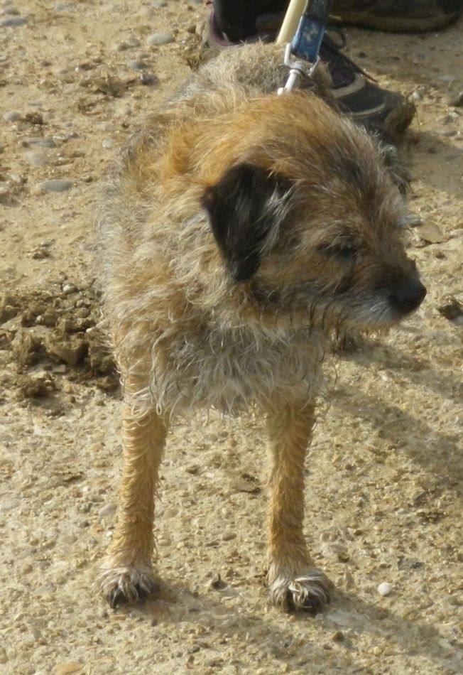 2017-10-26 15 Alde Valley Group Around Yoxford.jpg