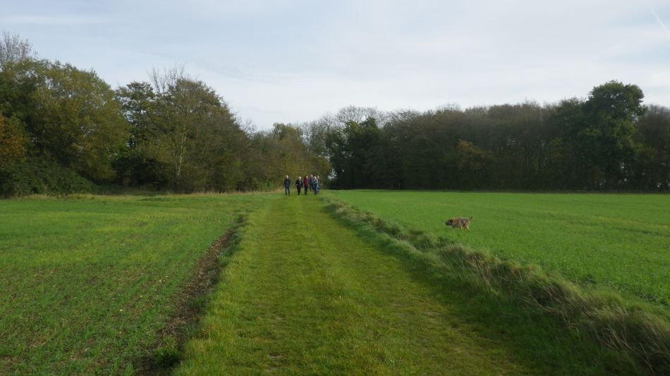 2017-10-26 16 Alde Valley Group Around Yoxford.jpg