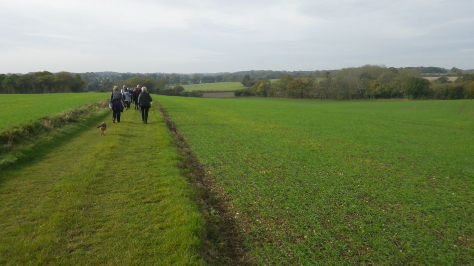 2017-10-26 17 Alde Valley Group Around Yoxford.jpg