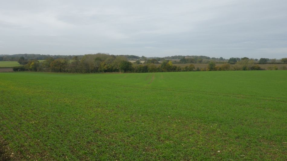 2017-10-26 18 Alde Valley Group Around Yoxford.jpg