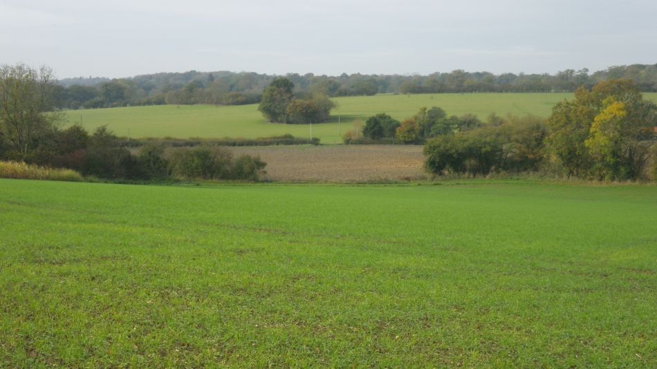 2017-10-26 19 Alde Valley Group Around Yoxford.jpg