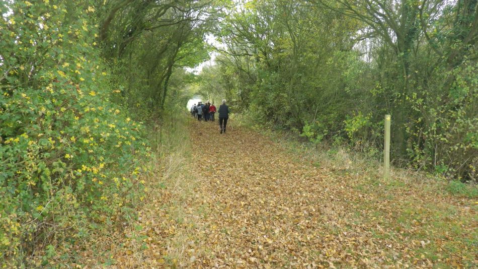 2017-10-26 20 Alde Valley Group Around Yoxford.jpg