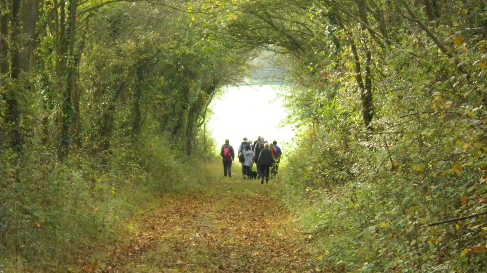 2017-10-26 21 Alde Valley Group Around Yoxford.jpg