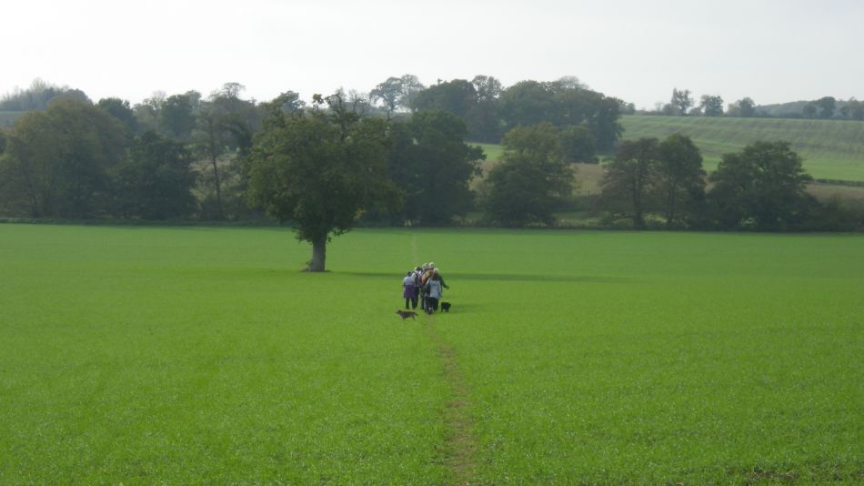 2017-10-26 22 Alde Valley Group Around Yoxford.jpg