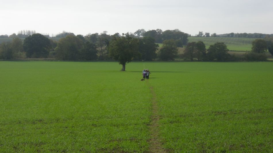 2017-10-26 23 Alde Valley Group Around Yoxford.jpg