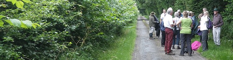 Fressingfield Area