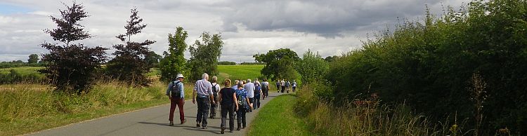 Weybread and Harleston Area