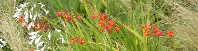 Weybread and Harleston Area