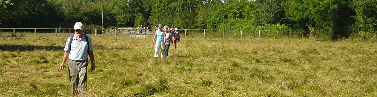 Alburgh Denton and Darrow Wood