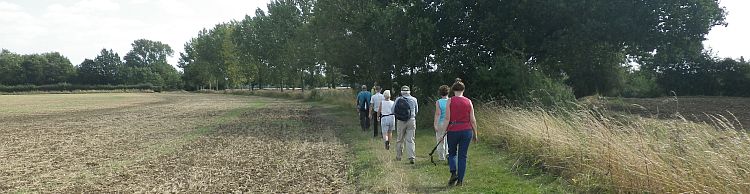 Alburgh Denton and Darrow Wood