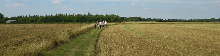 Alburgh Denton and Darrow Wood