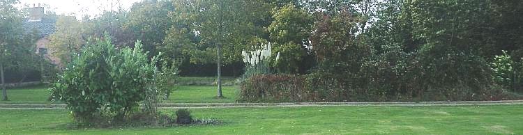 Mendham and Metfield Area