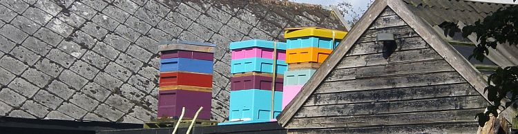Bee Hives