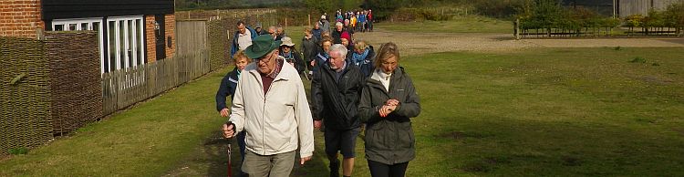 Westleton and Dunwich Heaths