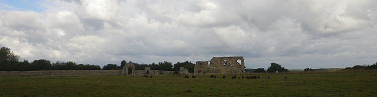 Westleton and Dunwich Heaths